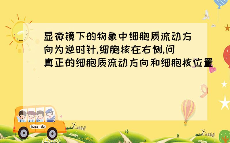 显微镜下的物象中细胞质流动方向为逆时针,细胞核在右侧,问真正的细胞质流动方向和细胞核位置