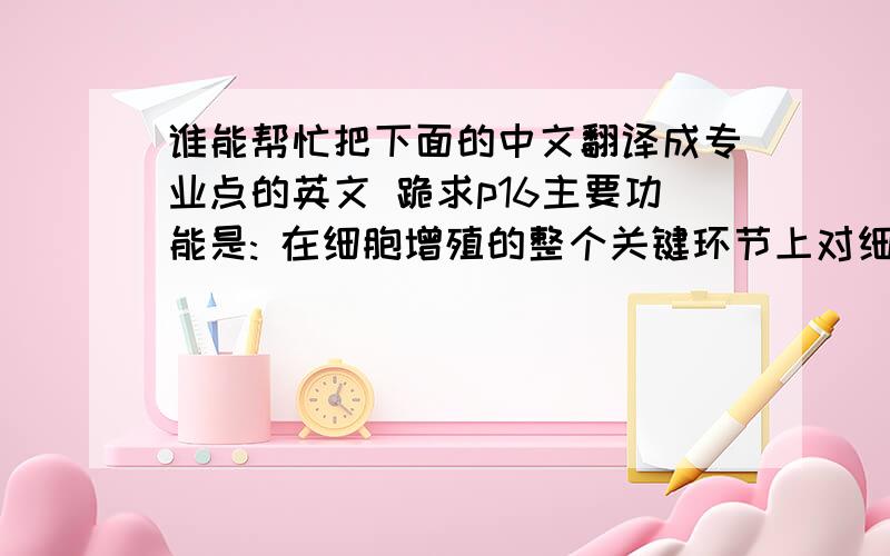 谁能帮忙把下面的中文翻译成专业点的英文 跪求p16主要功能是: 在细胞增殖的整个关键环节上对细胞分裂和生长进行适当抑制, 使细胞按正常程序性周期分裂、生长和死亡, 防止细胞生长分裂