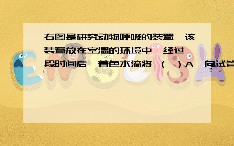 右图是研究动物呼吸的装置,该装置放在室温的环境中,经过一段时间后,着色水滴将 （ ）A、向试管方向移动 B、向远离试管的方向移动C、先移向试管后远离试管 D、保持不动