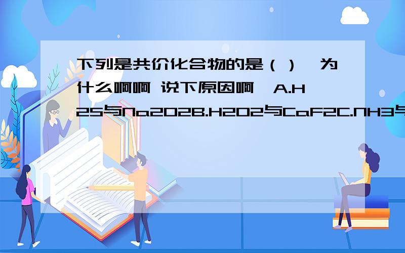 下列是共价化合物的是（）【为什么啊啊 说下原因啊】A.H2S与Na2O2B.H2O2与CaF2C.NH3与N2D.HNO3与HClO3