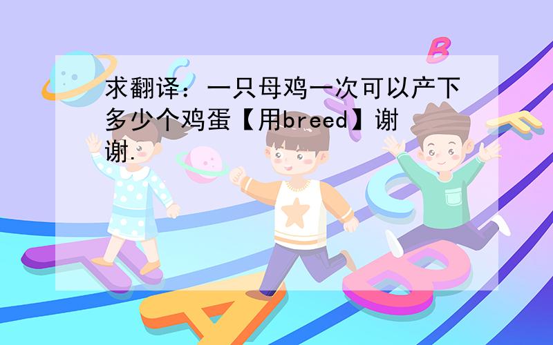 求翻译：一只母鸡一次可以产下多少个鸡蛋【用breed】谢谢.