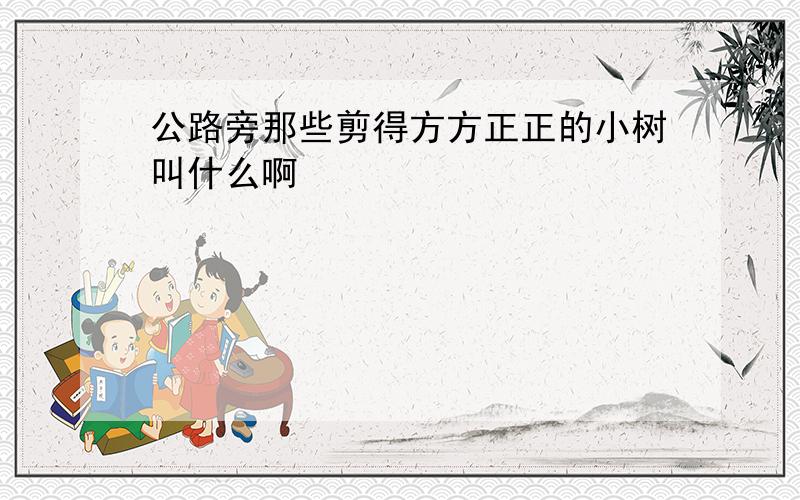 公路旁那些剪得方方正正的小树叫什么啊