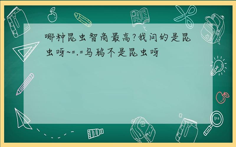 哪种昆虫智商最高?我问的是昆虫呀~=.=乌鸦不是昆虫呀