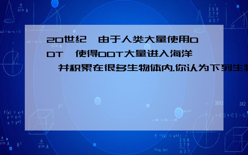 20世纪,由于人类大量使用DDT,使得DDT大量进入海洋,并积累在很多生物体内.你认为下列生物体内DDT含量最高的是a浮游植物 b小虾 c鱼 d企鹅