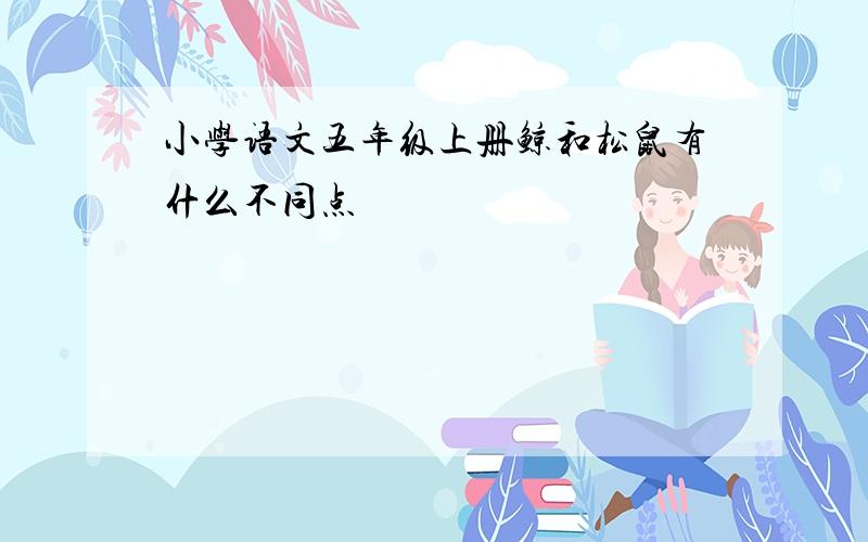 小学语文五年级上册鲸和松鼠有什么不同点