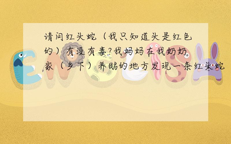 请问红头蛇（我只知道头是红色的）有没有毒?我妈妈在我奶奶家（乡下）养鹅的地方发现一条红头蛇（听说头是红色的、红头蛇是本地人叫法）.大概有一米长.在养鹅的地方溜来溜去,不知道