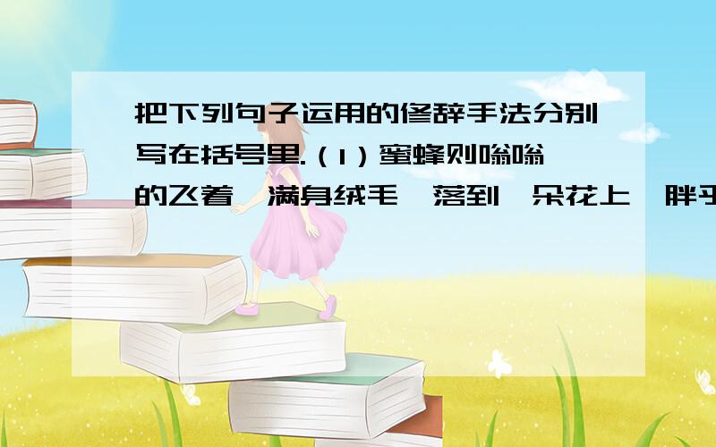 把下列句子运用的修辞手法分别写在括号里.（1）蜜蜂则嗡嗡的飞着,满身绒毛,落到一朵花上,胖乎乎,圆滚滚,就像一个小毛球,停在上面不动了.（ ）（2)花开了,就像睡醒了似的.（ ）（3）太阳