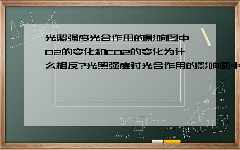 光照强度光合作用的影响图中,O2的变化和CO2的变化为什么相反?光照强度对光合作用的影响图中，O2的变化和CO2的变化为什么相反？