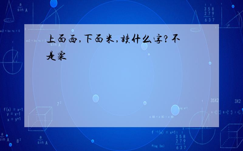 上面西,下面米,读什么字?不是栗