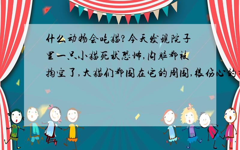 什么动物会吃猫?今天发现院子里一只小猫死状恐怖,内脏都被掏空了,大猫们都围在它的周围,很伤心的样子,什么动物会吃猫呢?很多人聚居的地方应该不会有大型动物吧?黄鼠狼体形那么小,能