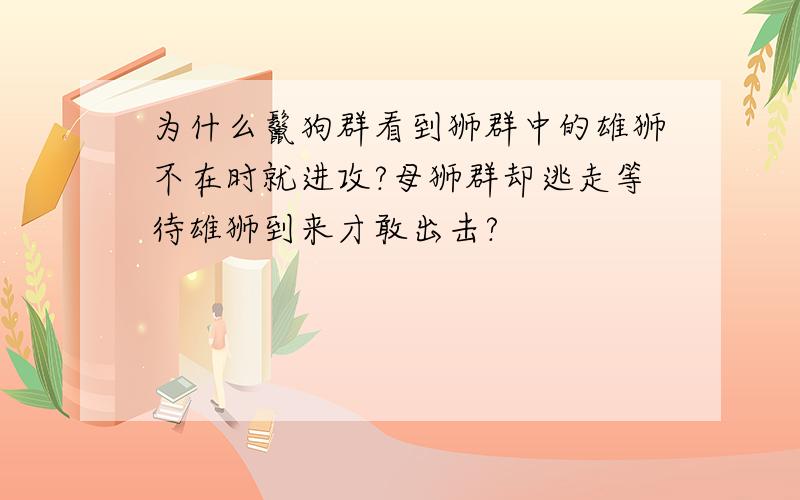 为什么鬣狗群看到狮群中的雄狮不在时就进攻?母狮群却逃走等待雄狮到来才敢出击?