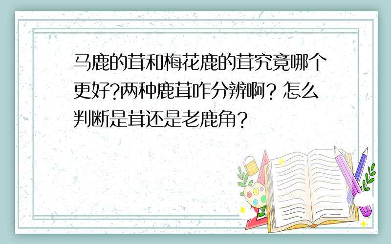 马鹿的茸和梅花鹿的茸究竟哪个更好?两种鹿茸咋分辨啊？怎么判断是茸还是老鹿角？