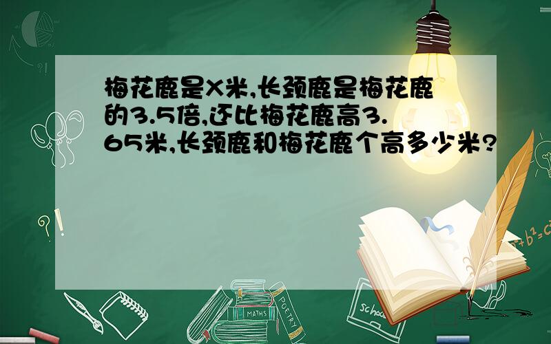 梅花鹿是X米,长颈鹿是梅花鹿的3.5倍,还比梅花鹿高3.65米,长颈鹿和梅花鹿个高多少米?