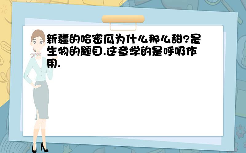 新疆的哈密瓜为什么那么甜?是生物的题目.这章学的是呼吸作用.