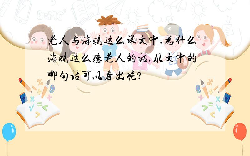 老人与海鸥这么课文中,为什么海鸥这么听老人的话,从文中的哪句话可以看出呢?