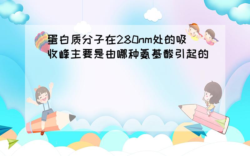 蛋白质分子在280nm处的吸收峰主要是由哪种氨基酸引起的