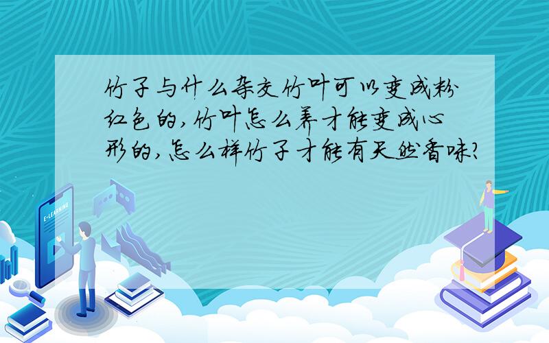 竹子与什么杂交竹叶可以变成粉红色的,竹叶怎么养才能变成心形的,怎么样竹子才能有天然香味?