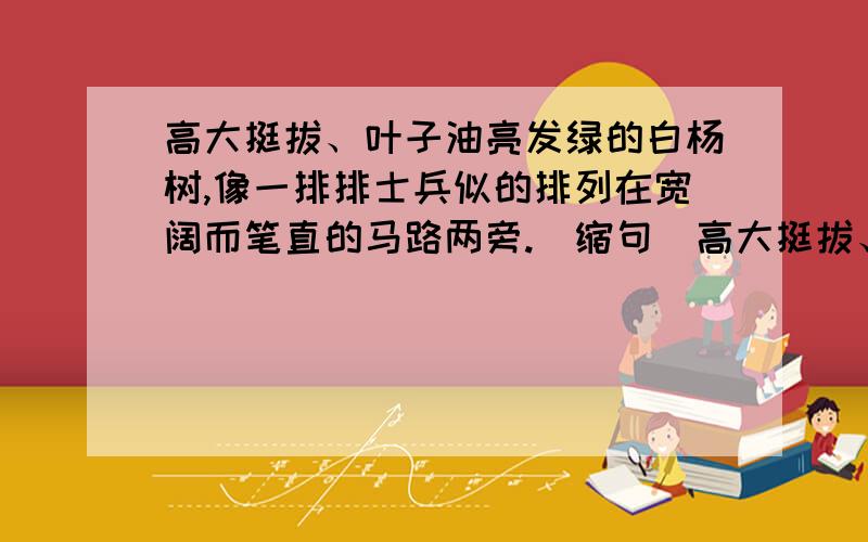 高大挺拔、叶子油亮发绿的白杨树,像一排排士兵似的排列在宽阔而笔直的马路两旁.(缩句）高大挺拔、叶子油亮发绿的白杨树，像一排排士兵似的排列在宽阔而笔直的马路两旁。(缩句）1、