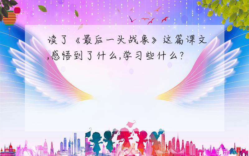 读了《最后一头战象》这篇课文,感悟到了什么,学习些什么?