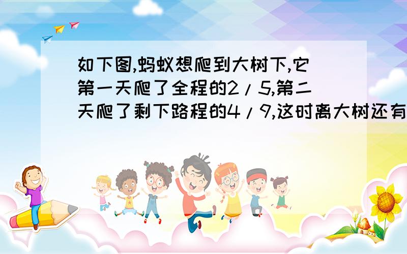 如下图,蚂蚁想爬到大树下,它第一天爬了全程的2/5,第二天爬了剩下路程的4/9,这时离大树还有多少米?你会用两种方法解答吗?   数学要对