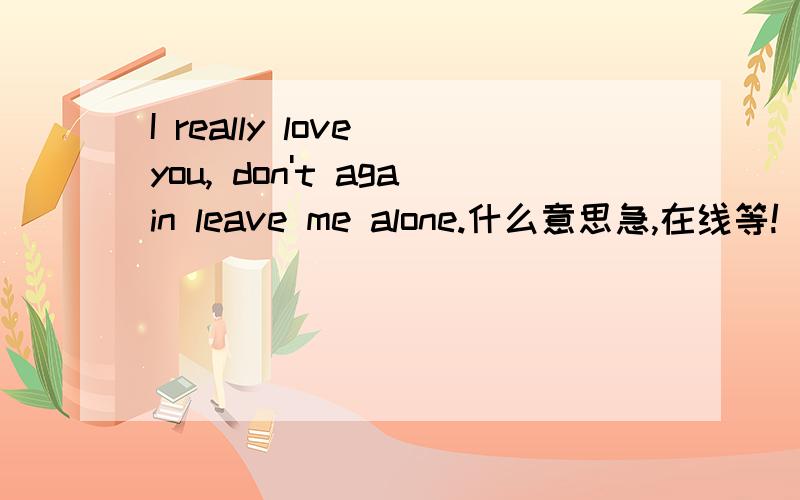 I really love you, don't again leave me alone.什么意思急,在线等!