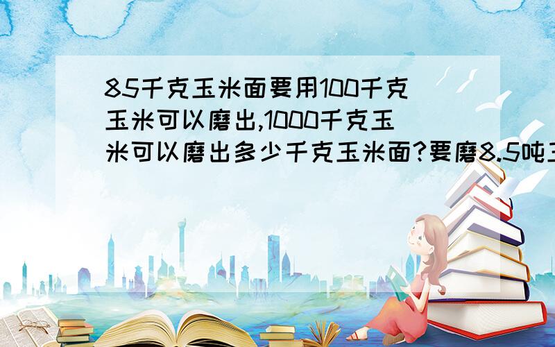 85千克玉米面要用100千克玉米可以磨出,1000千克玉米可以磨出多少千克玉米面?要磨8.5吨玉米面需要玉米多少千克?