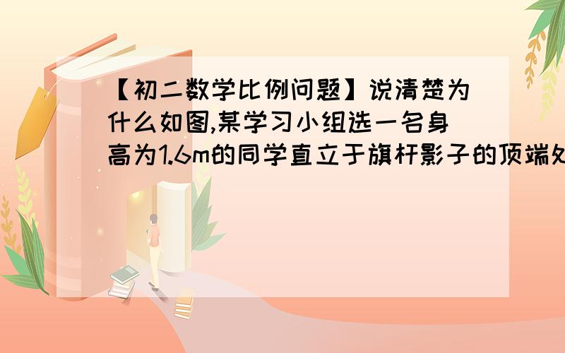 【初二数学比例问题】说清楚为什么如图,某学习小组选一名身高为1.6m的同学直立于旗杆影子的顶端处,其余人分为两部分,一部分同学测量该同学的影长为1.2m,另一部分同学测量同一时刻旗杆