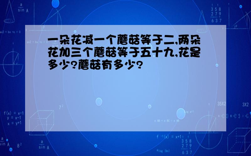 一朵花减一个蘑菇等于二,两朵花加三个蘑菇等于五十九,花是多少?蘑菇有多少?