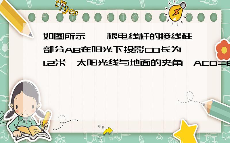 如图所示,一根电线杆的接线柱部分AB在阳光下投影CD长为1.2米,太阳光线与地面的夹角∠ACD=60°,则AB的长为