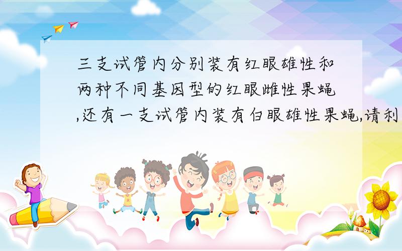 三支试管内分别装有红眼雄性和两种不同基因型的红眼雌性果蝇,还有一支试管内装有白眼雄性果蝇,请利用实验室条件设计最佳方案,鉴别并写出上述三支试管内果蝇的基因型（显性基因用B表