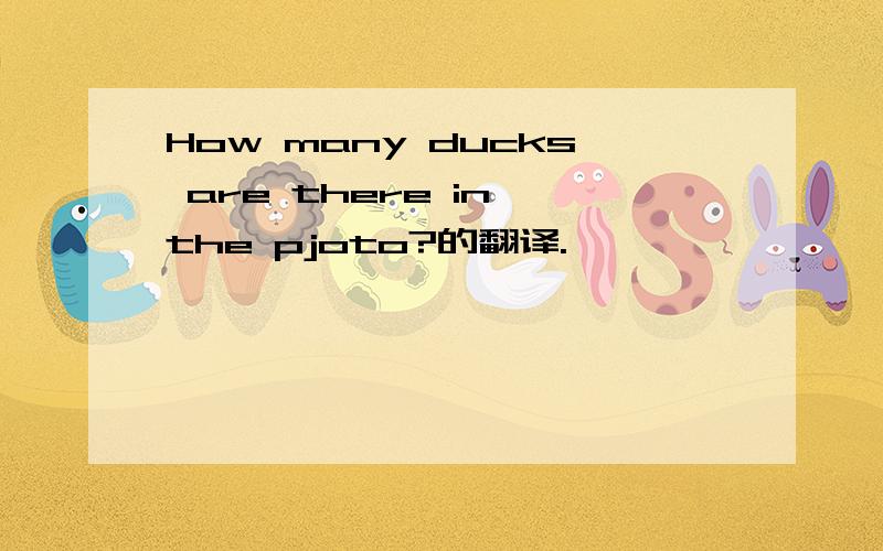 How many ducks are there in the pjoto?的翻译.