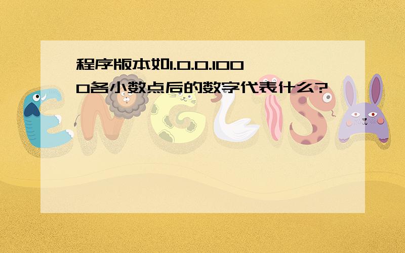 程序版本如1.0.0.1000各小数点后的数字代表什么?