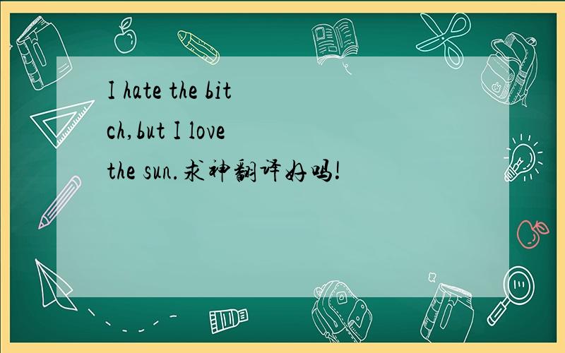 I hate the bitch,but I love the sun.求神翻译好吗!