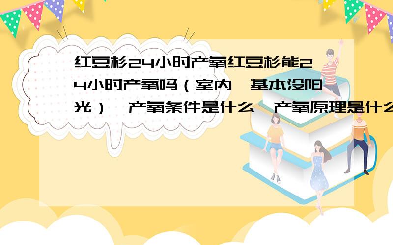 红豆杉24小时产氧红豆杉能24小时产氧吗（室内,基本没阳光）,产氧条件是什么,产氧原理是什么.