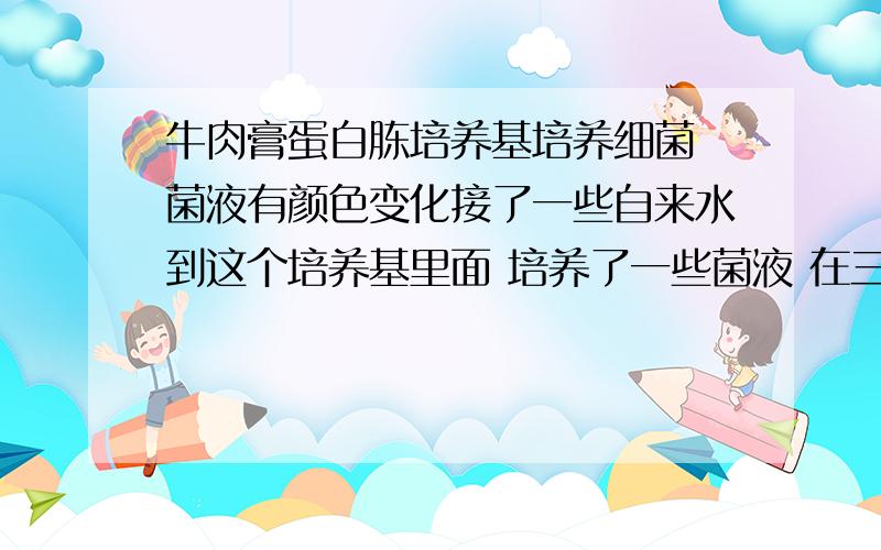 牛肉膏蛋白胨培养基培养细菌 菌液有颜色变化接了一些自来水到这个培养基里面 培养了一些菌液 在三角瓶里的菌液颜色是黄色的 将它倒出以后 菌液的颜色是绿色的 这是为什么呀 所有的器