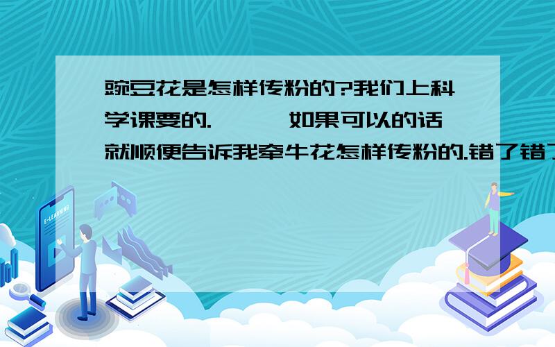 豌豆花是怎样传粉的?我们上科学课要的.嘻嘻,如果可以的话就顺便告诉我牵牛花怎样传粉的.错了错了，是靠什么传粉的。