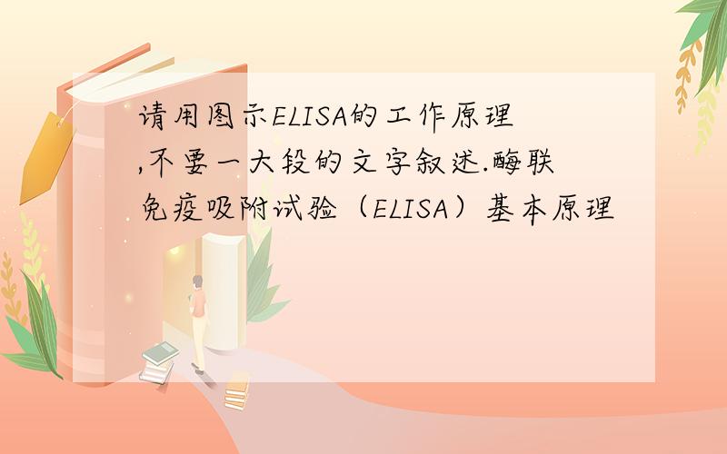 请用图示ELISA的工作原理,不要一大段的文字叙述.酶联免疫吸附试验（ELISA）基本原理