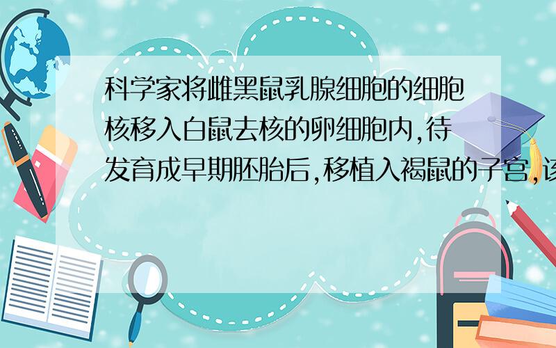 科学家将雌黑鼠乳腺细胞的细胞核移入白鼠去核的卵细胞内,待发育成早期胚胎后,移植入褐鼠的子宫,该褐鼠产下小鼠的体色和性别是什么?为什么?