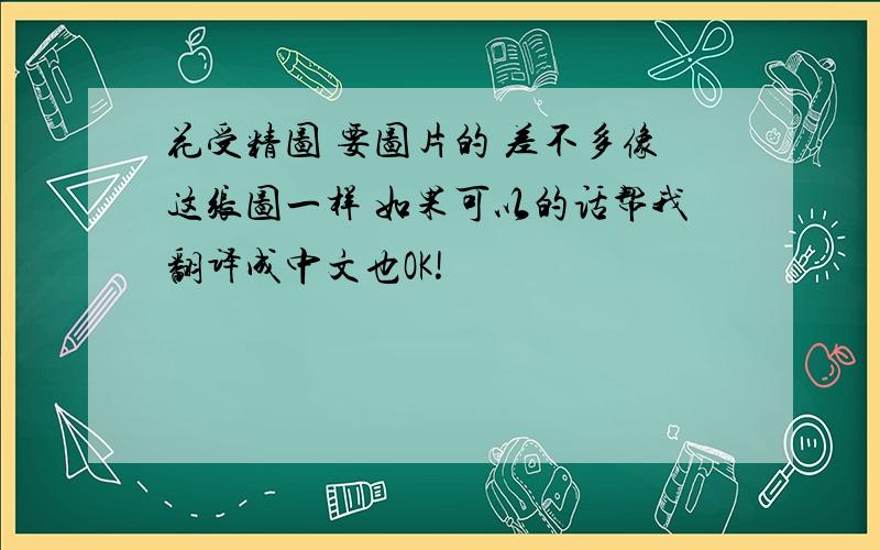 花受精图 要图片的 差不多像这张图一样 如果可以的话帮我翻译成中文也OK!