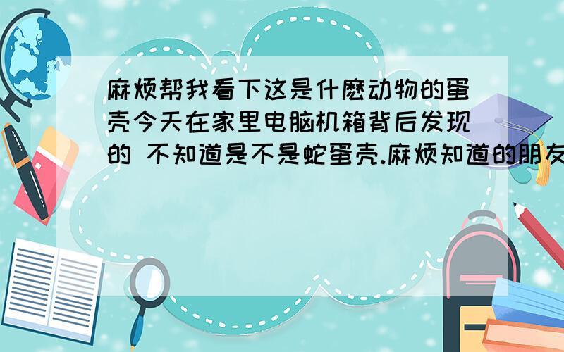 麻烦帮我看下这是什麽动物的蛋壳今天在家里电脑机箱背后发现的 不知道是不是蛇蛋壳.麻烦知道的朋友说下怎么不能上传图片啊 ?