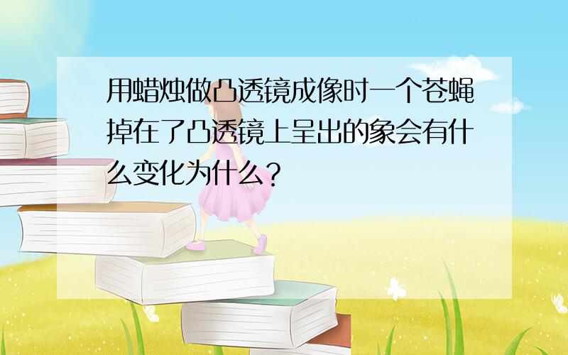 用蜡烛做凸透镜成像时一个苍蝇掉在了凸透镜上呈出的象会有什么变化为什么？