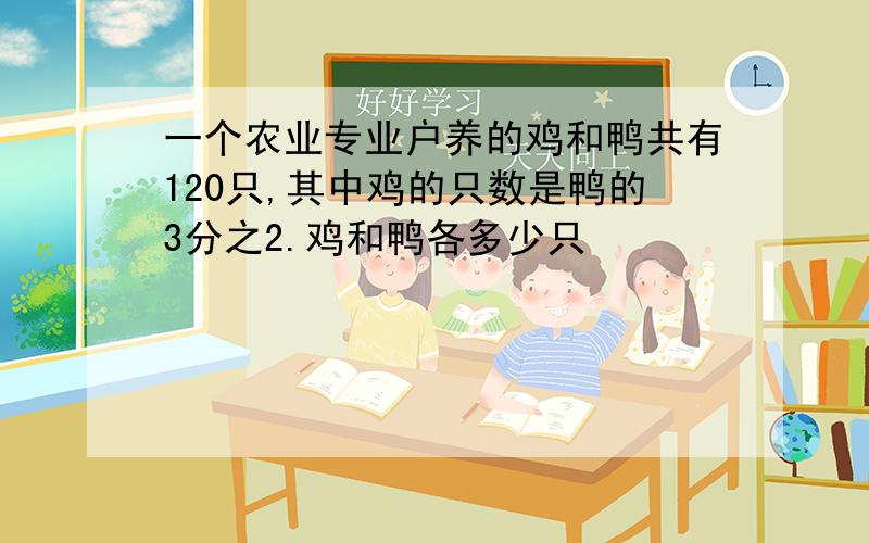 一个农业专业户养的鸡和鸭共有120只,其中鸡的只数是鸭的3分之2.鸡和鸭各多少只