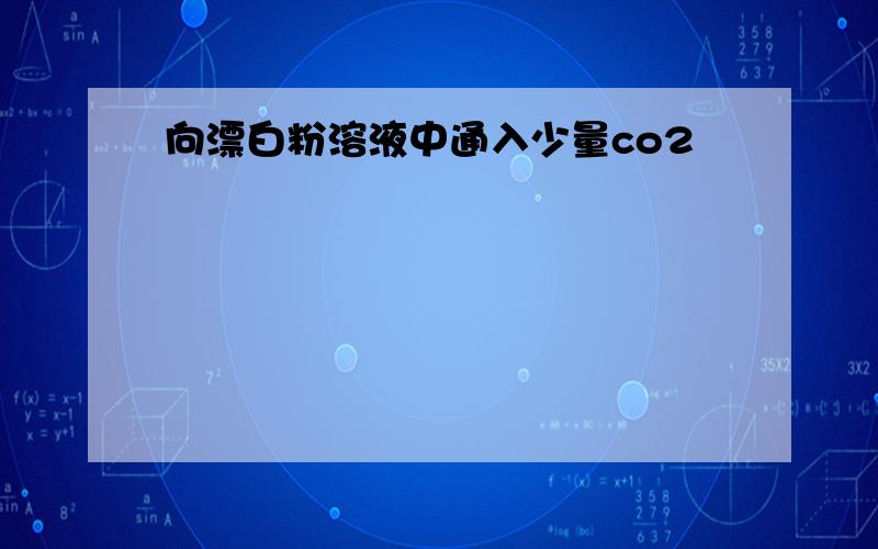 向漂白粉溶液中通入少量co2