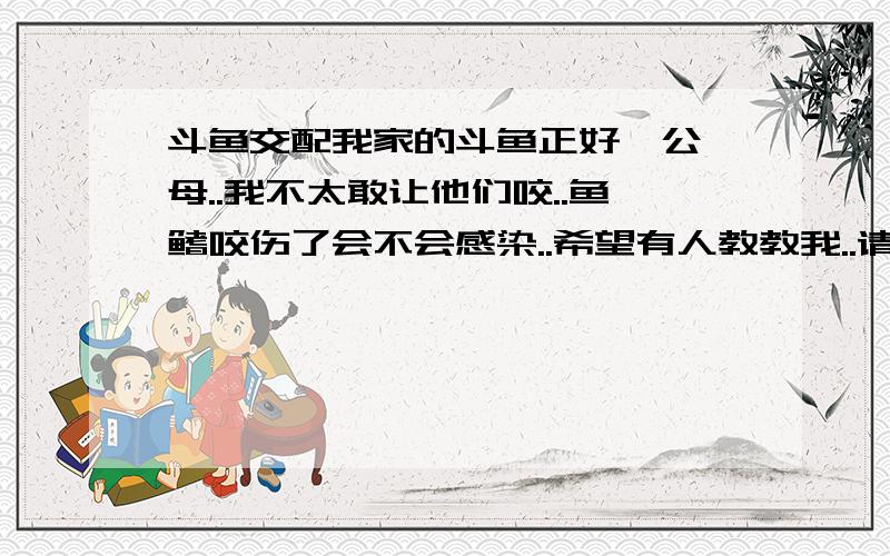 斗鱼交配我家的斗鱼正好一公一母..我不太敢让他们咬..鱼鳍咬伤了会不会感染..希望有人教教我..请不要复制那些长篇大论..放在隔离盒子里可以交配么..在孔雀缸里..