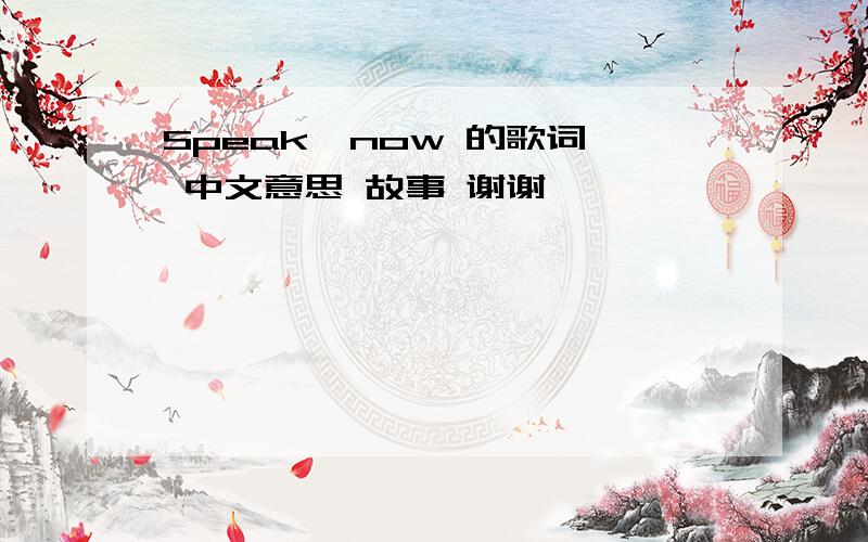 Speak  now 的歌词 中文意思 故事 谢谢