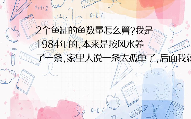 2个鱼缸的鱼数量怎么算?我是1984年的,本来是按风水养了一条,家里人说一条太孤单了,后面我就买了4条,结果,其中有一条不认识的斗鱼很快就伤害其中2条,于是就让斗鱼一条鱼住单间了,又买了2