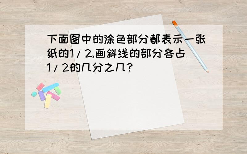 下面图中的涂色部分都表示一张纸的1/2,画斜线的部分各占1/2的几分之几?