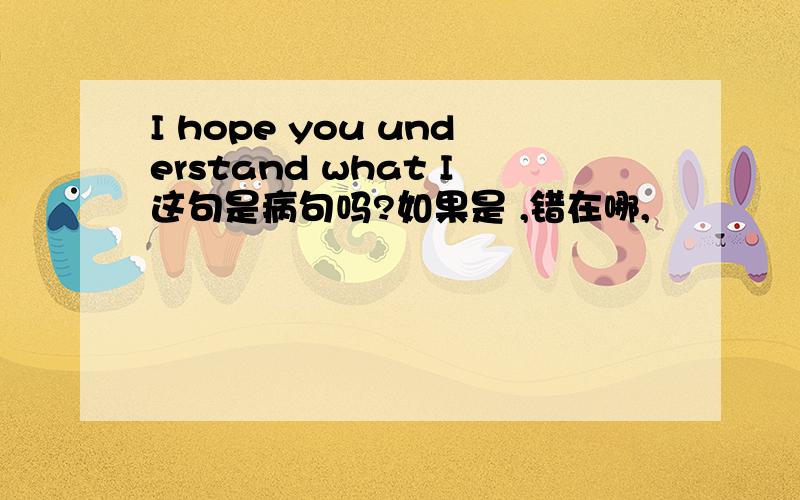 I hope you understand what I这句是病句吗?如果是 ,错在哪,