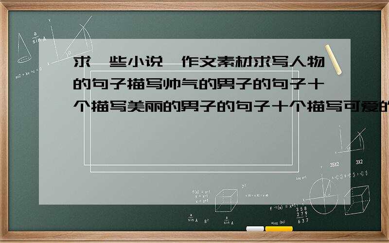 求一些小说,作文素材求写人物的句子描写帅气的男子的句子十个描写美丽的男子的句子十个描写可爱的男孩的句子十个用诗歌或文言文描写男子的句子十个描写美女的句子十个用诗歌或文言