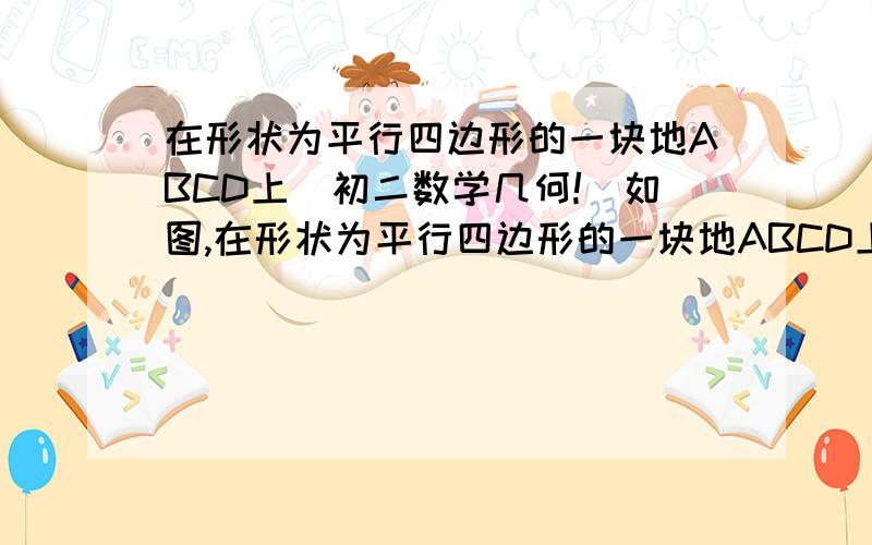 在形状为平行四边形的一块地ABCD上（初二数学几何!）如图,在形状为平行四边形的一块地ABCD上,有一条小路EFG.现在想把它改为经过点E的直路,要求小路两侧土地的面积都不变,请在图中表示出